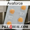 Avaforce 24